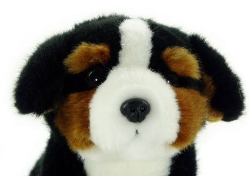 Berner Sennenhund sitzend 17cm